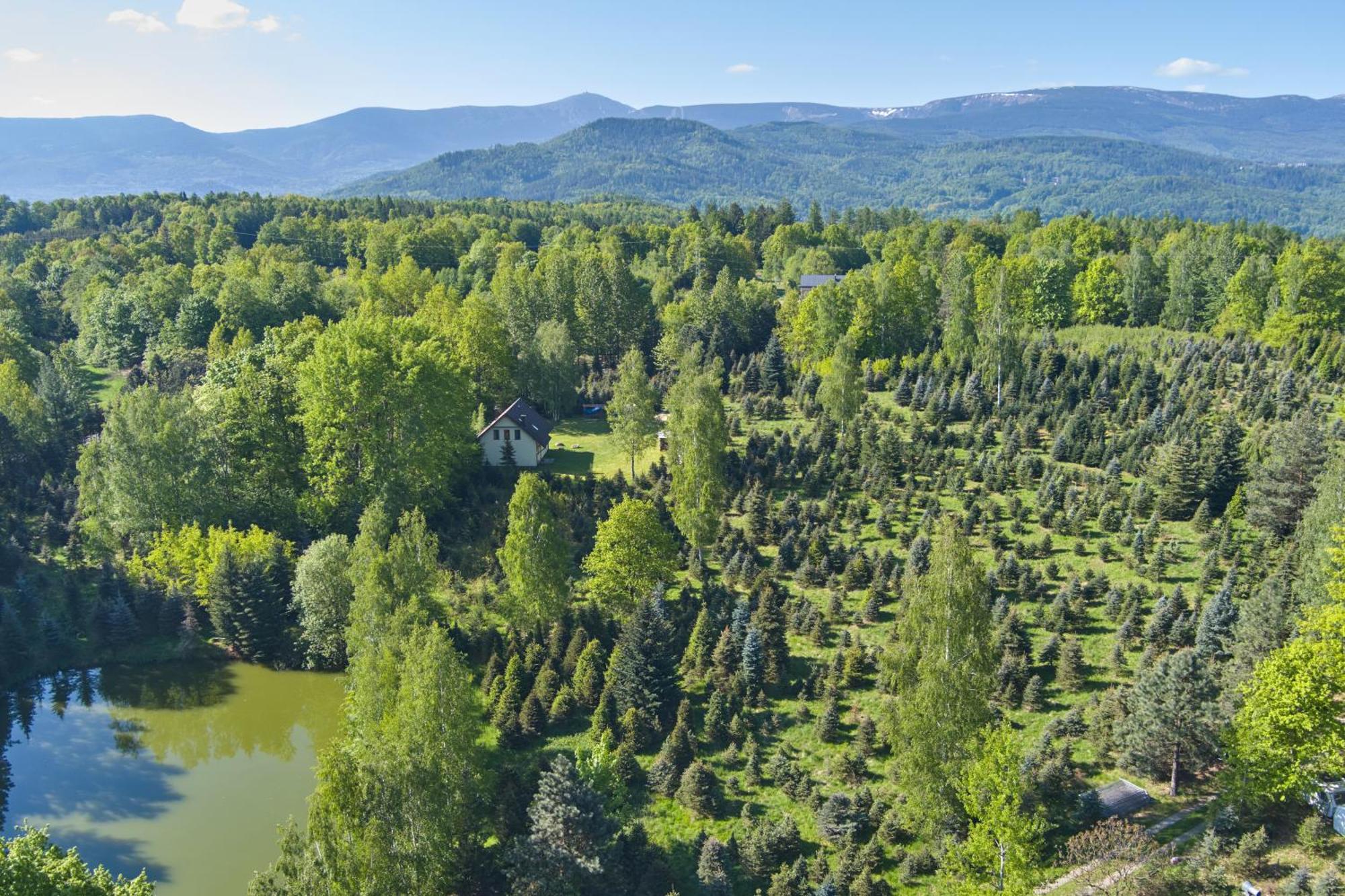 Agroturystyka - Srebrny Las Staniszow Dış mekan fotoğraf